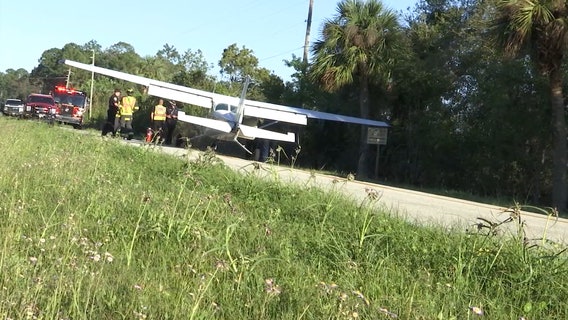 Plane makes emergency landing on road