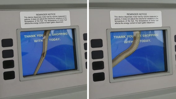 Snake inside pump surprises customer getting gas
