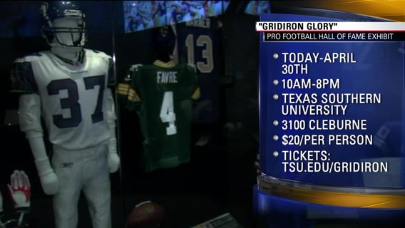 Gridiron Glory: The Best of the Pro Football Hall of Fame