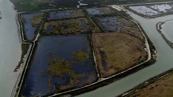 No Galveston Bay Dioxin state testing since 2013