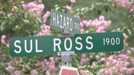 Overgrown tree trimmed after residents complain, crashes nearby