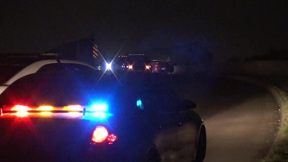 Car crashes into guardrail, catches fire, driver dies