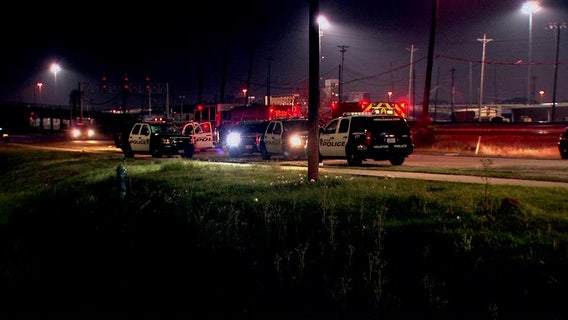 Driver in stolen police patrol car taken into custody