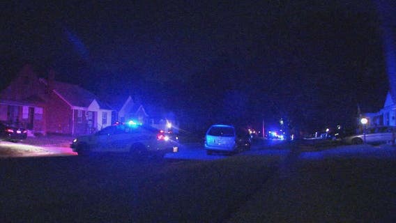 4-year-old girl killed in Michigan go-kart crash