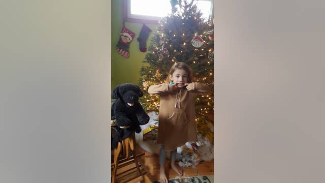 Minneapolis man chronicles beloved stuffed dog's journey back to New York