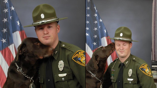K-9 officer's photo shoot proves his partner is the best