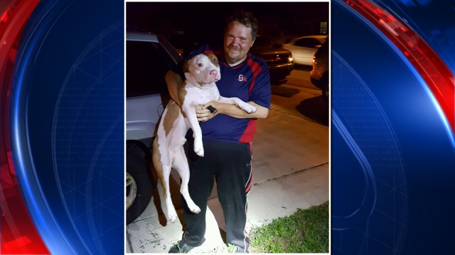 Dog returned after being taken from man with mental disability