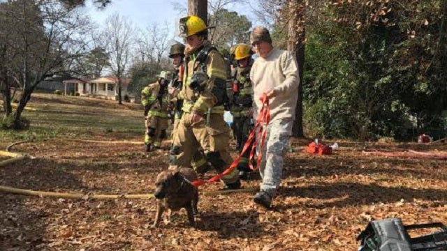 Athens firefighters pull dog from fire, revives him