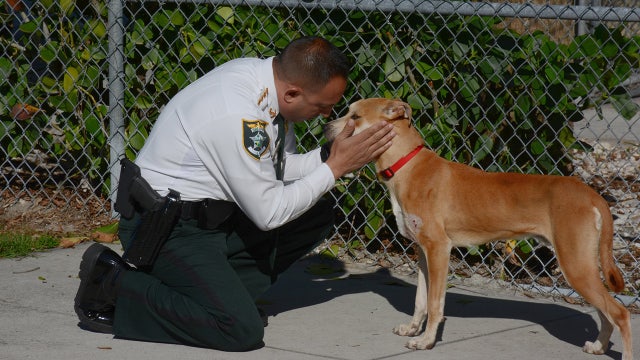 Lee County Sheriff's Office adopts dog found with mouth taped shut
