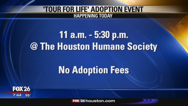 Pet adoption fees waived for Houston Humane Society