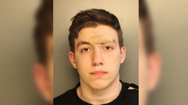 Police: Man punched police corporal, horse before Eagles game