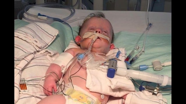 Basset hounds stay at dying baby's side until the very end