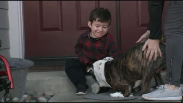 California boy with cerebral palsy befriends new pup