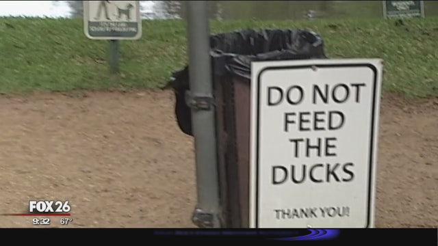 Homeowners association agrees to euthanize ducks