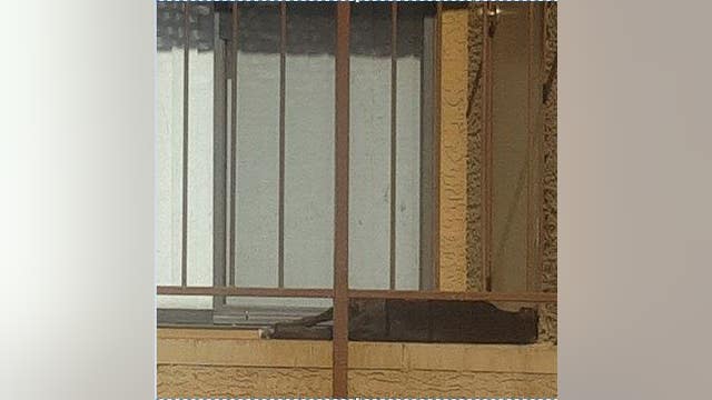 Community outraged after dog left to die on hot patio