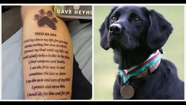 LOOK: A vet tattooed the ashes of his beloved military dog on his leg