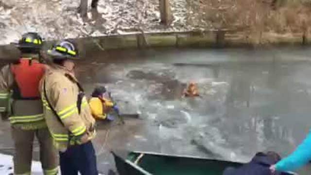 Firefighters rescue dog that fell into icy lake