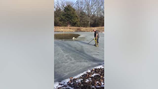 Dog latches onto rope with its teeth to get free of frozen lake