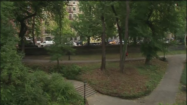 Owner says dog shot in Central Park