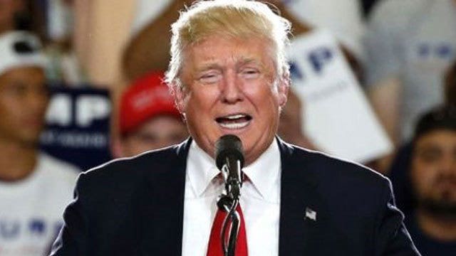 Trump's lawyers go after teenager over a cat website that lets users scratch his face