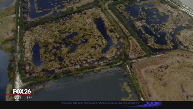 Environmental, political leaders call for action on West Bay Dioxin Pits