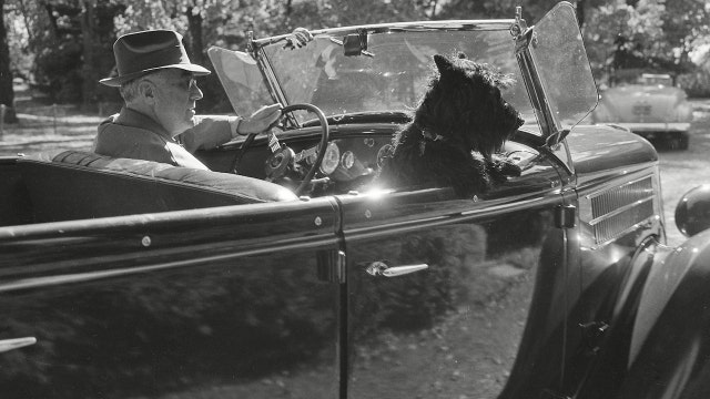 How well do you know the most famous ‘first dogs'?