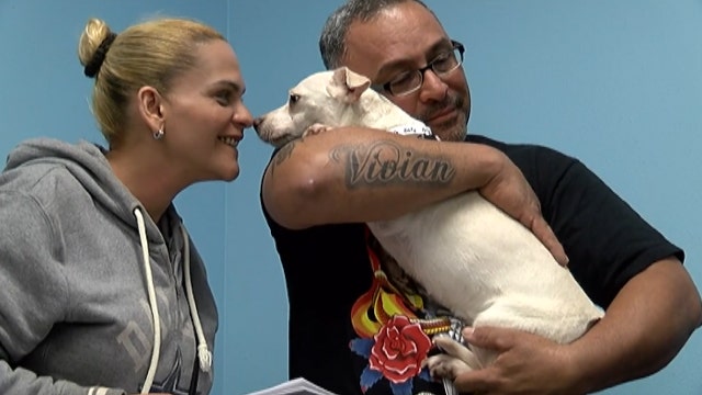 Puerto Rican evacuees reunited with pets after six months apart