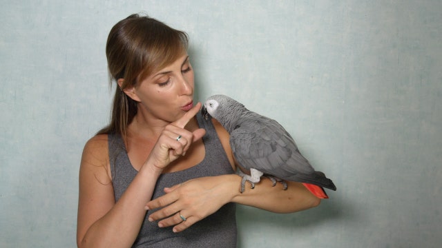 National Pets Day: Exotic animals people really keep as pets