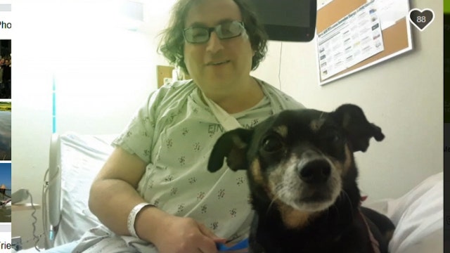 Community helps beating victim recover, reunite with lost dog