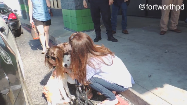 Fort Worth family reunited with dog stolen in burglary