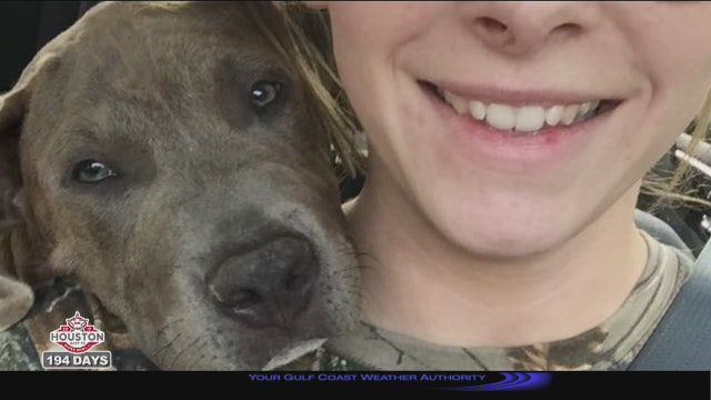 Following 14-month search woman finds dog through micro-chip, says she's not getting him back