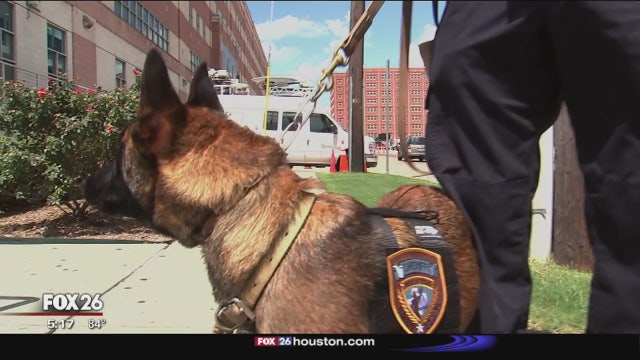 Five new special K-9 partners for Harris County deputies
