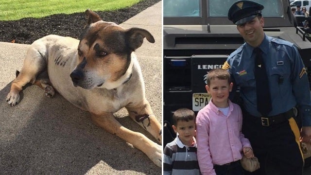 10-years after Trooper saved dog, it's still part of the family