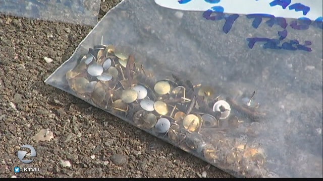 Pet owners wary after hundreds of thumbtacks found at Hercules dog park