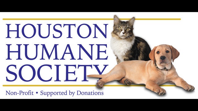Houston Humane Society seizing more than 60 animals from feed store