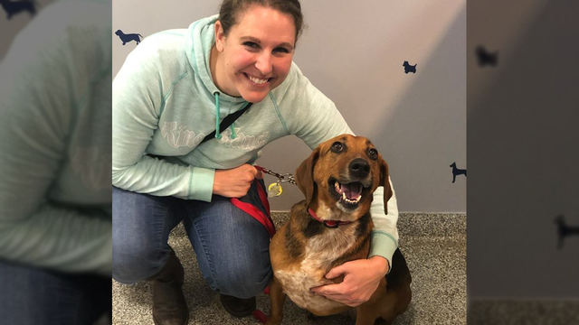 Dog finally finds a forever home after spending 525 days in a shelter