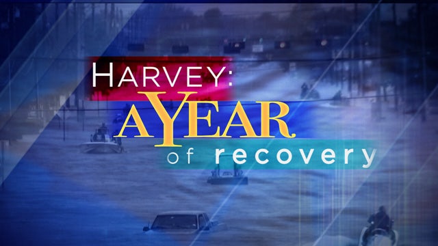 Harris County's $2.5 billion bond vote