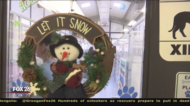 Shelter cat finds new home, sheds light on new local adoption opportunity