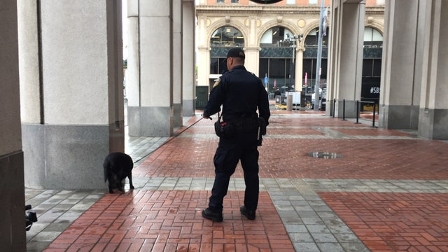 Federal Reserve K9 officer Nora patrols Super Bowl City