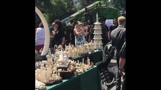 $8.5 million in ivory art crushed in New York
