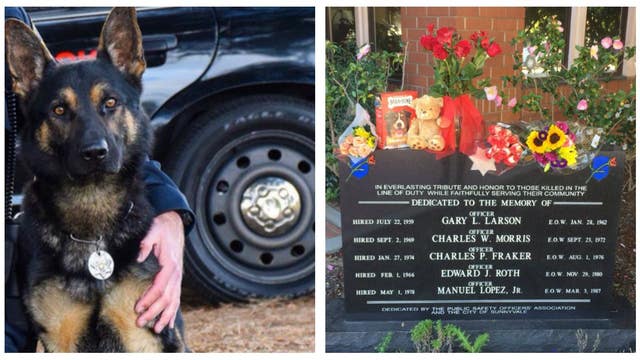 Sunnyvale police K-9 killed in the line of duty