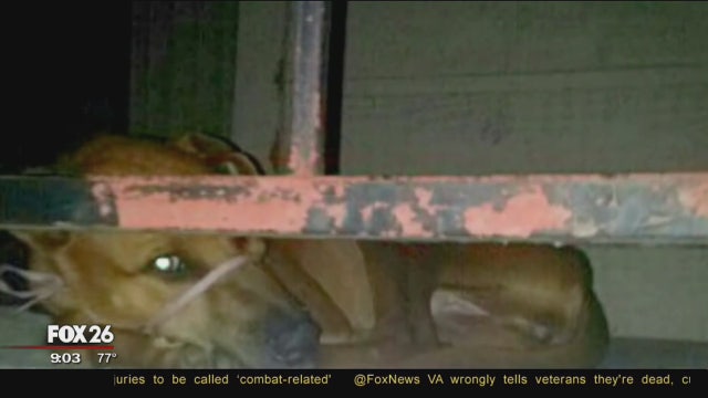 'Pooch on porch' causes social media firestorm, Facebook poster arrested