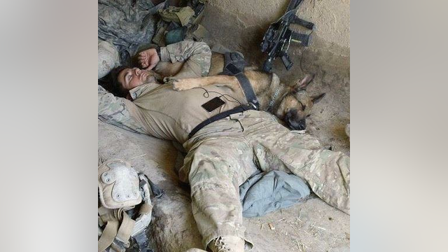 Navy chief reunites with military dog after 3 years