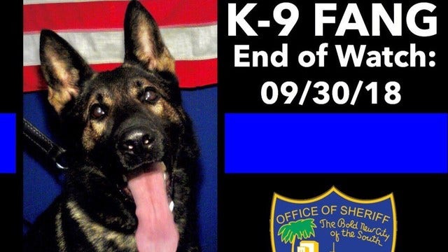 Jacksonville K-9 dog killed by carjacking suspect