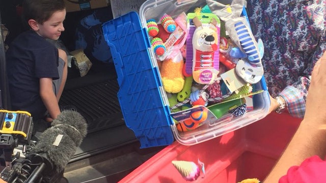 Arizona boy forgoes birthday gifts to help out some 4-legged friends