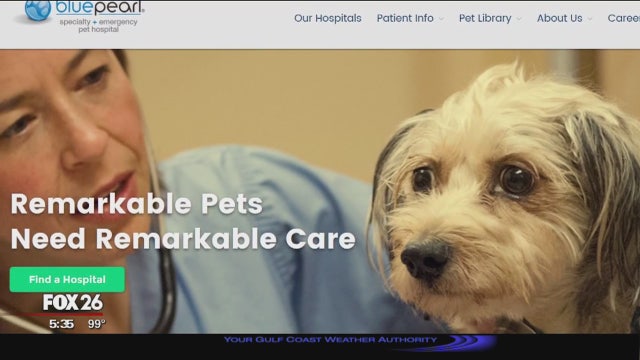 Pet donors needed for Houston animal blood bank