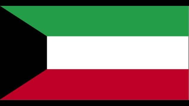 Amnesty International warns of curbs on speech in Kuwait