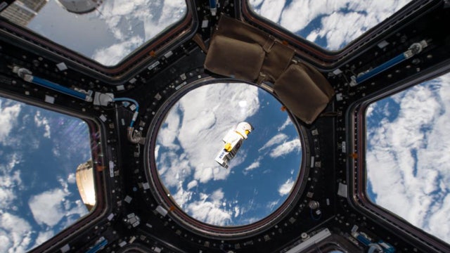 LEGOs explore the final frontier