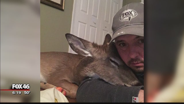 Man takes risk rescuing yearling deer, wishes story would've ended different