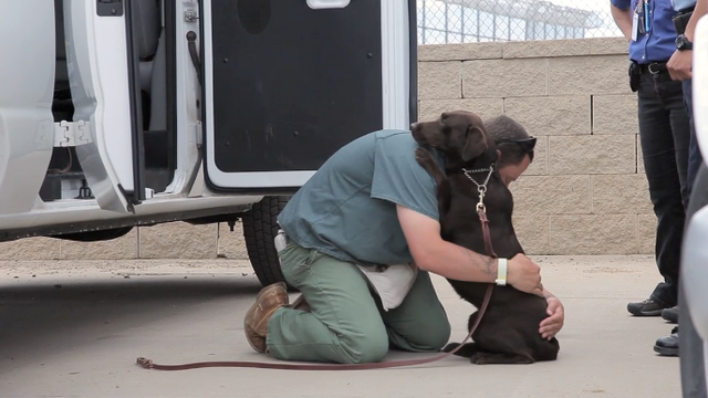 Documentary spotlights inmates that form incredible bonds with abused dogs